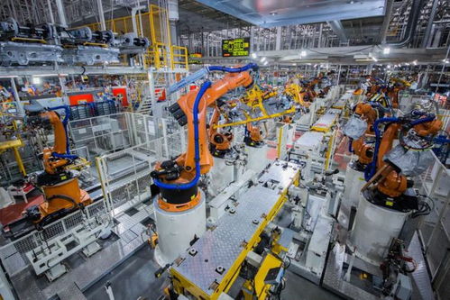 市政府常務會議 全力配合中央生態環保督察 加速數字貸工程風險補償資金發放